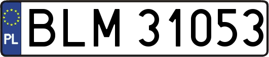BLM31053