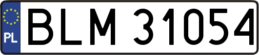 BLM31054