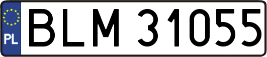 BLM31055