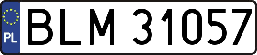 BLM31057