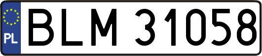 BLM31058