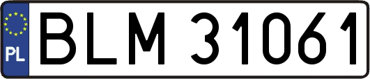 BLM31061