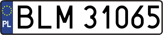 BLM31065