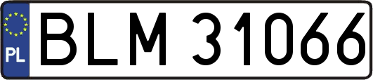 BLM31066
