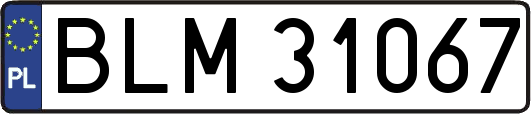 BLM31067
