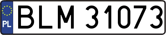 BLM31073