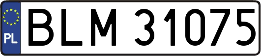 BLM31075