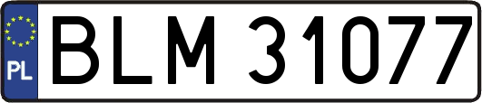 BLM31077