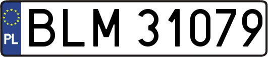 BLM31079