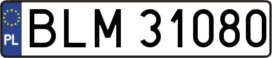 BLM31080