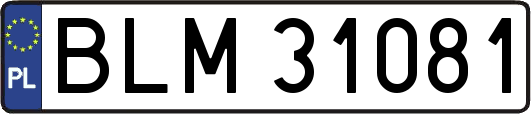 BLM31081