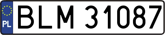 BLM31087