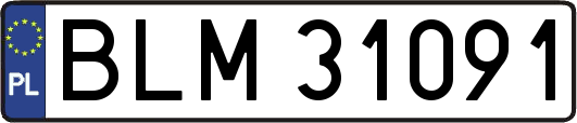 BLM31091