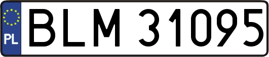 BLM31095