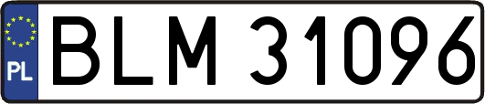 BLM31096