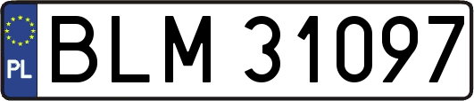 BLM31097