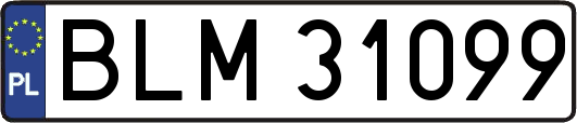 BLM31099