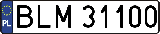 BLM31100