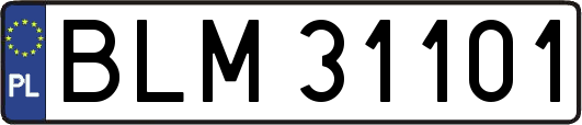 BLM31101