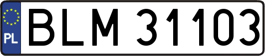 BLM31103