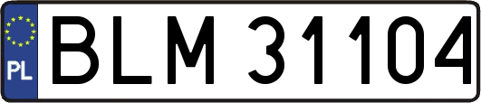 BLM31104