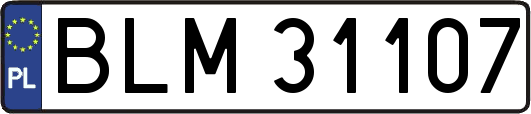 BLM31107