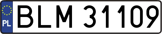 BLM31109