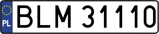 BLM31110