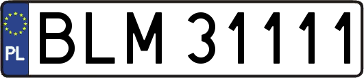 BLM31111