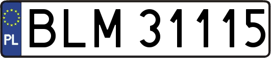 BLM31115