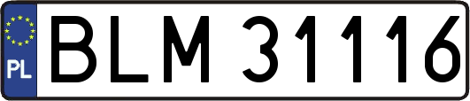 BLM31116