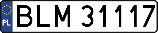 BLM31117