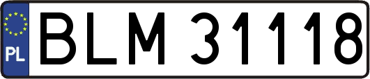 BLM31118