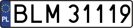 BLM31119
