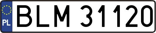 BLM31120