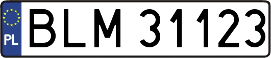 BLM31123