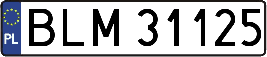 BLM31125