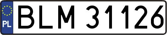 BLM31126