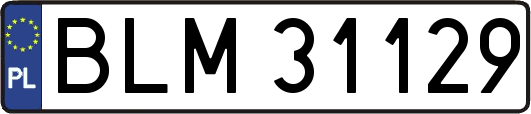 BLM31129