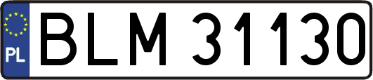BLM31130