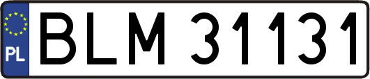 BLM31131