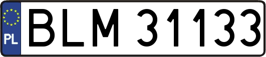 BLM31133