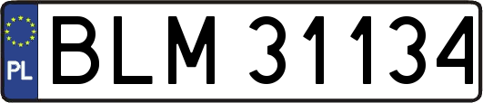 BLM31134