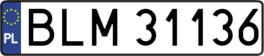 BLM31136