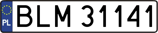 BLM31141