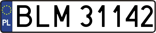 BLM31142