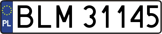 BLM31145