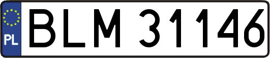 BLM31146