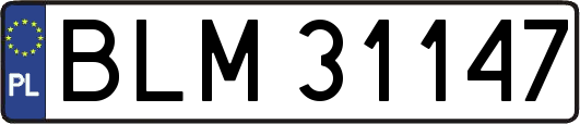 BLM31147