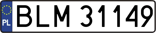 BLM31149
